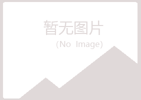 平鲁区白山水泥有限公司